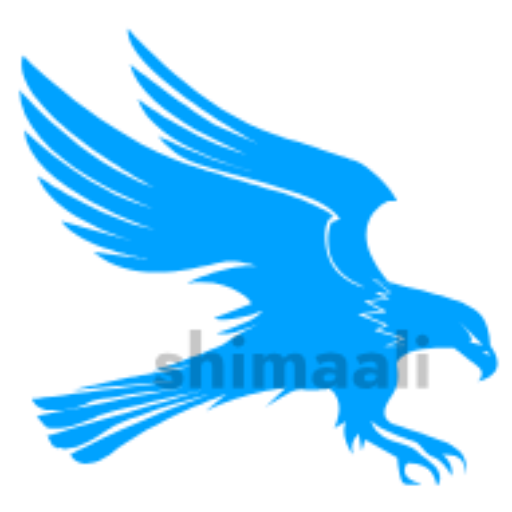 Web Design Agency in Hargeisa| 25+ Experience